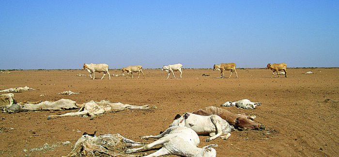 EAST AFRICA FAMINE: ‘People are eating termites’HEART Christian newspaper