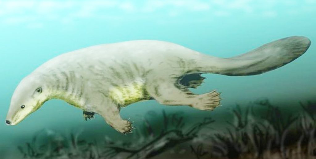 DID MAMMALS EVOLVE FROM REPTILES?